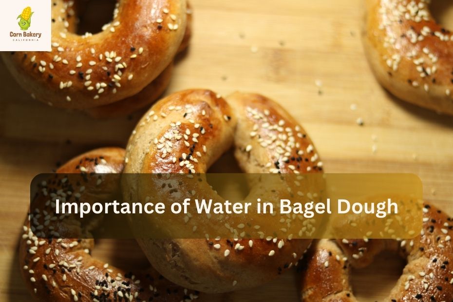 Importance of Water in Bagel Dough